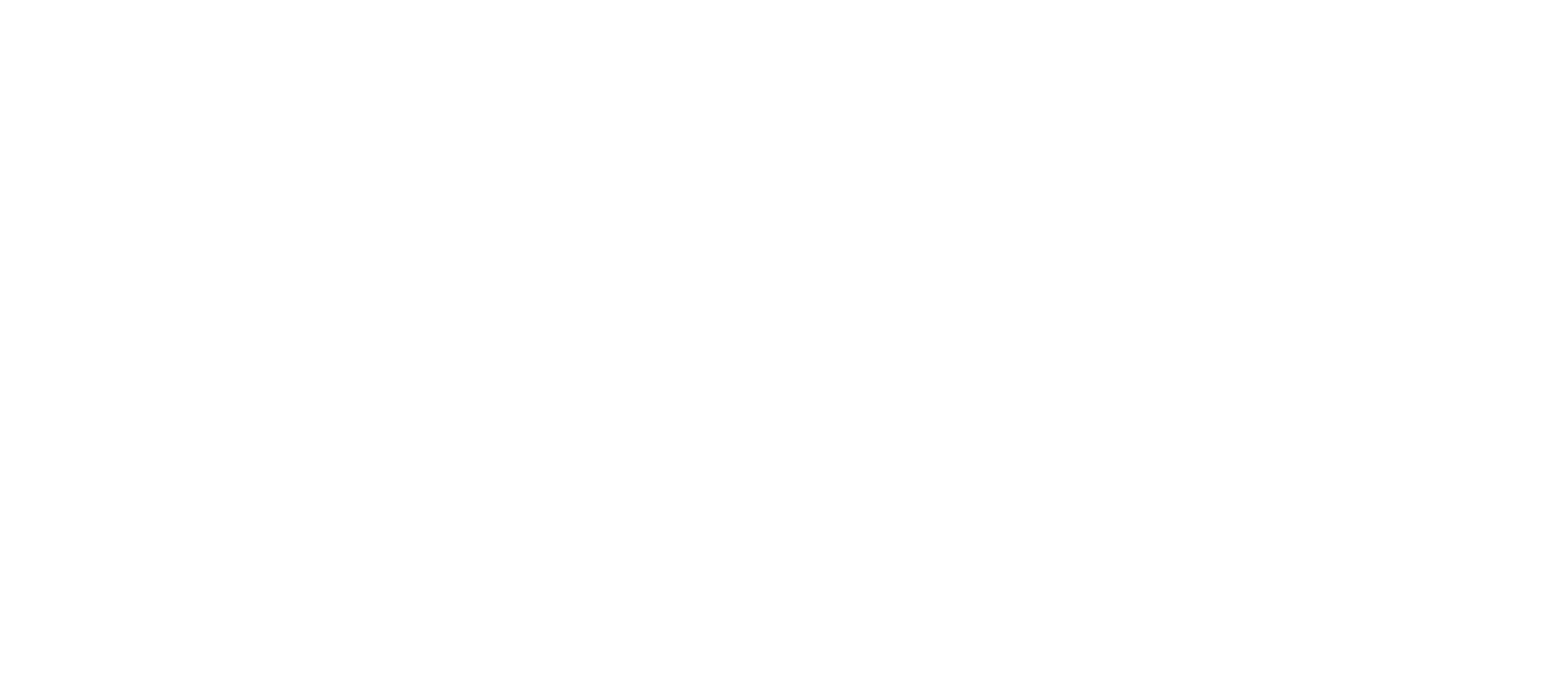 SBV RE Investments LLC white logo